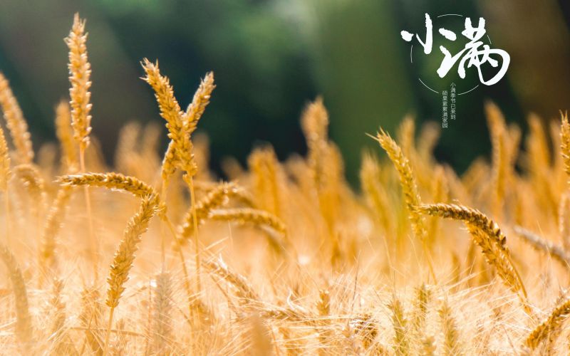 人生小滿(mǎn)勝萬(wàn)全！